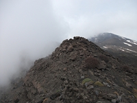 rra delle Concazze-201100508 166